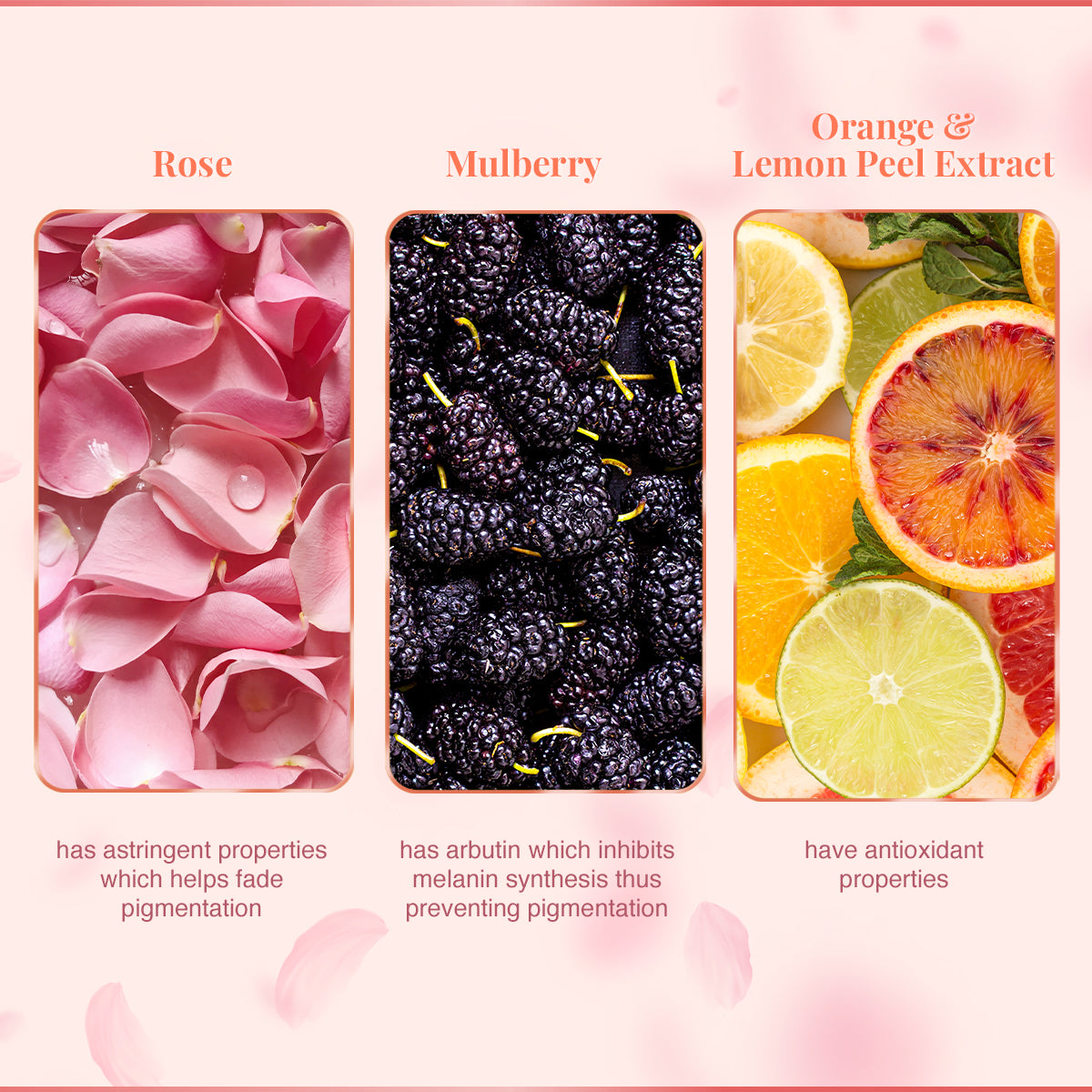 Mulberry & Rose Facewash - 150 ml - Buy One Get One free (300ml)